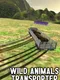 Wild Animals Transporter