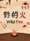 Wild Fire