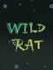 Wild Rat