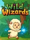 Wild Wizards