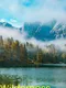 Wilderness