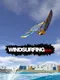 Windsurfing MMX