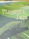 Wingsuit Hero