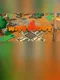 Wipe Out VR