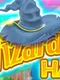 Wizard's Hat