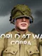 World At War: Cobra