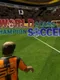 World Class Champion Soccer