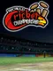 World Cricket Championship 2