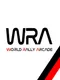 World Rally Arcade