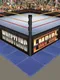 Wrestling Empire