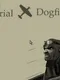 WWII Aerial Dogfight