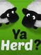 Ya Herd?