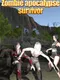 Zombie Apocalypse Survivor