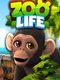 Zoo Life