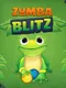 Zumba Blitz