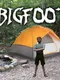 Bigfoot