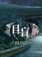 Blind