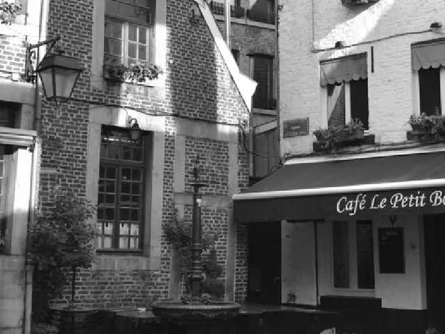 10 Gnomes in Liege