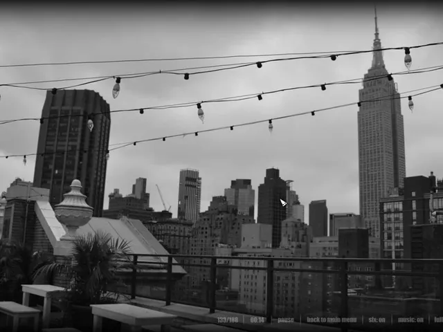 10 Gnomes in New York