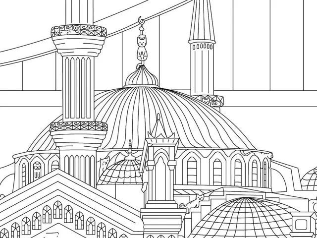 100 Cats Istanbul