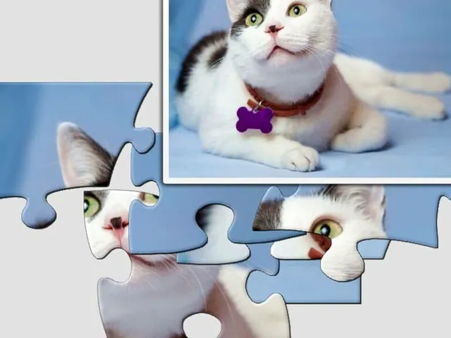 1001 Jigsaw: Cute Cats 4