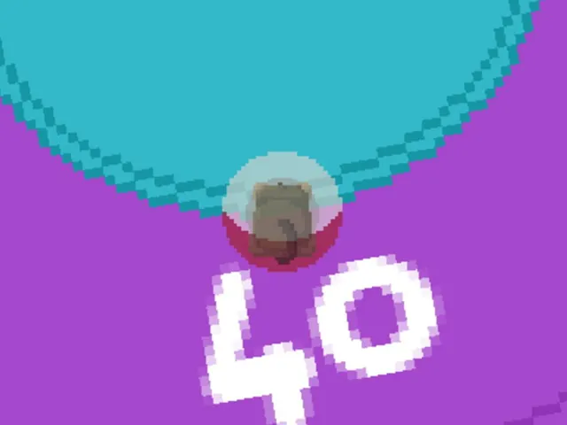 125 Monkey Games