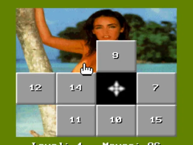 15 Move Hole Puzzle