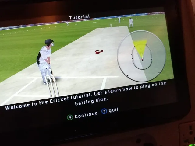 3D Cricket