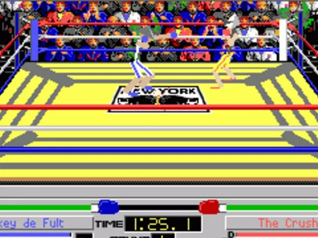 4-D Boxing