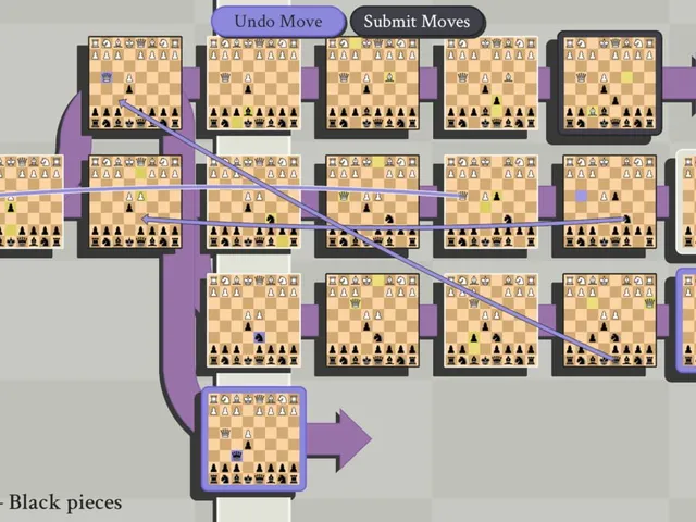 5D Chess With Multiverse Time Travel