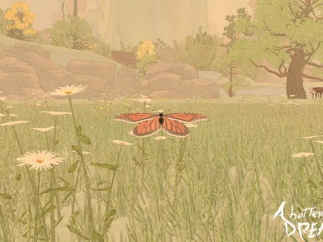 A Butterfly's Dream