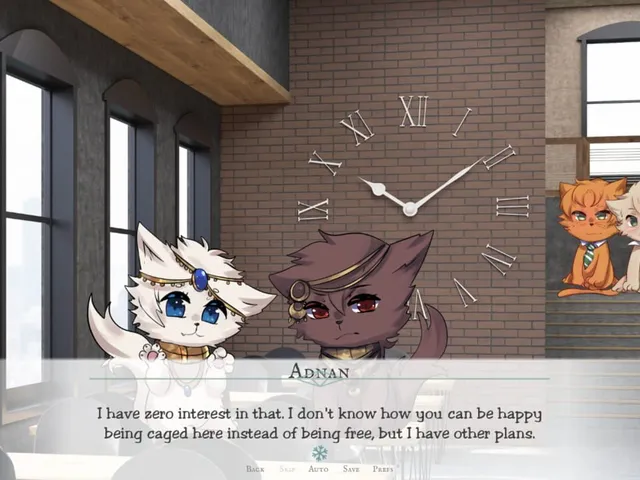 A Cat Cafe Story