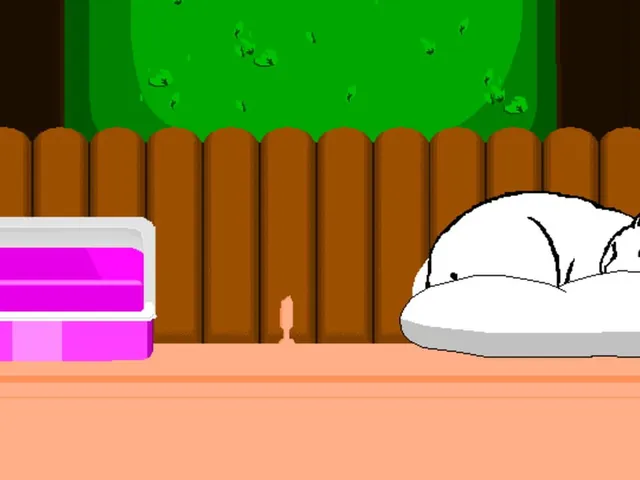A Cat's Life