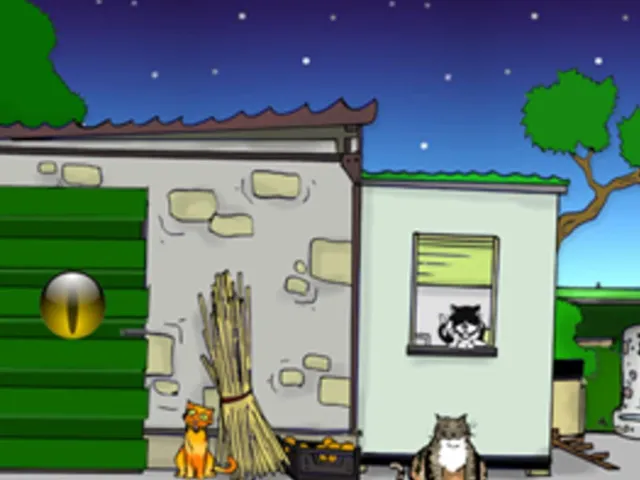 A Cat's Night