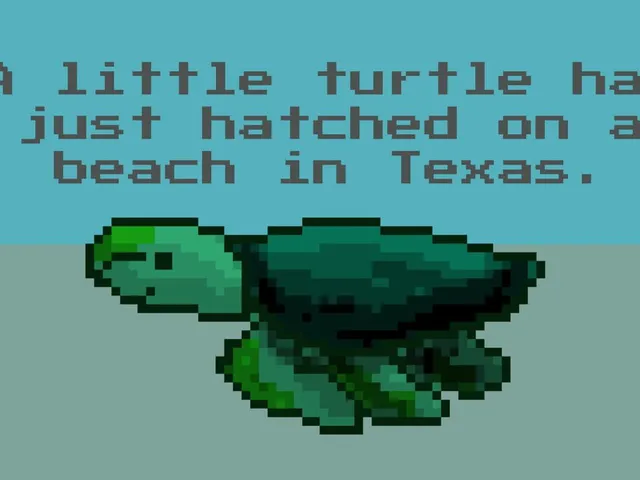 A Little Turtle Has Just Hatched on a Beach in Texas.