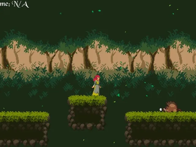 A Little Walk in the Woods