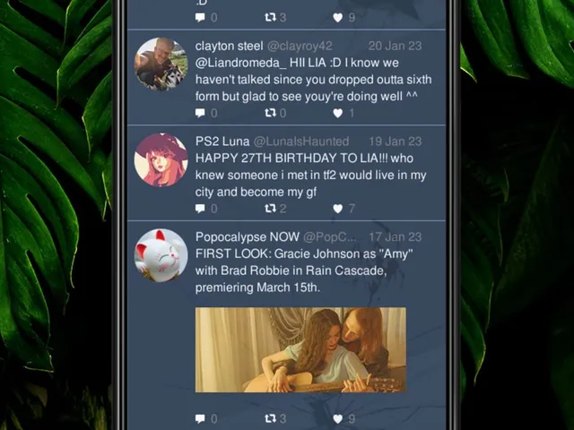 A Phone Found in Tall Grass