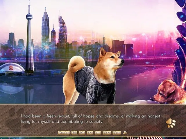 A Summer with the Shiba Inu