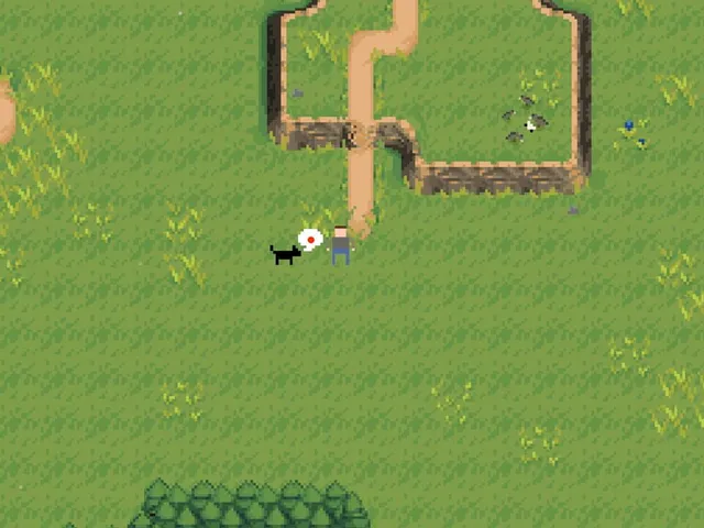 A Walk With My Dog