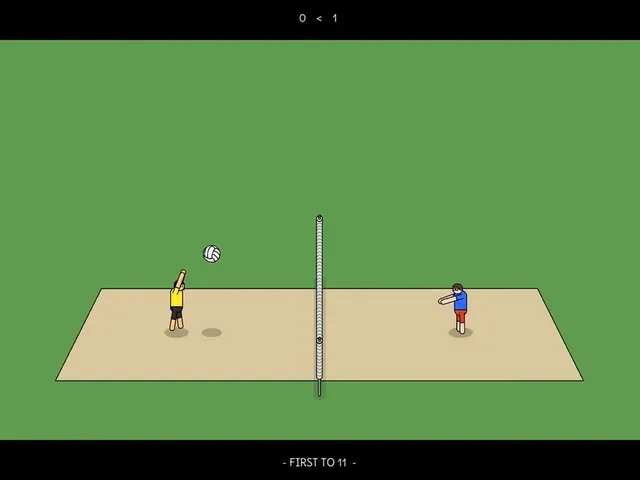 Actual Volleyball