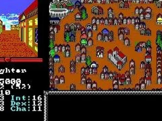 Advanced Dungeons & Dragons: Hillsfar