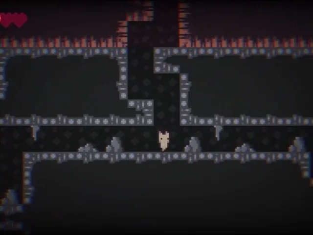 Adventure Puss