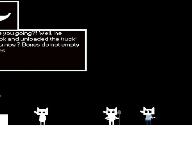Adventures of Two Foxes