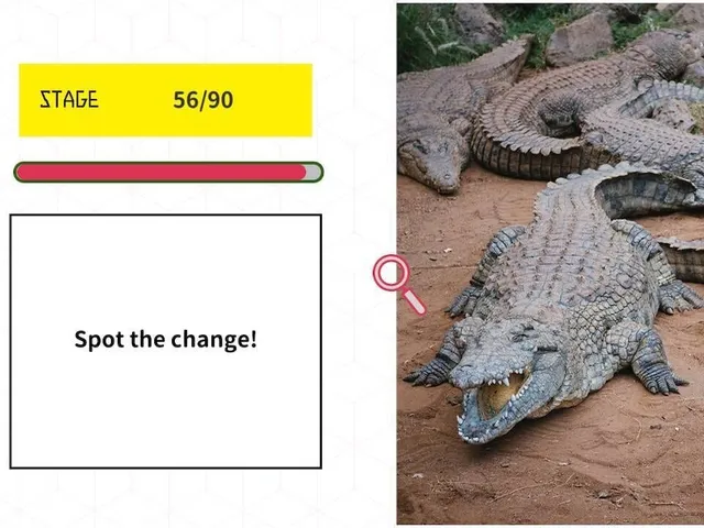 Aha! Spot the Change Brain Teaser