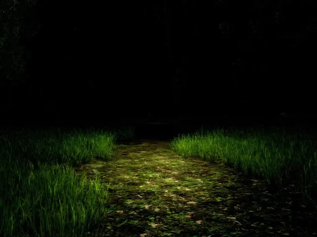 Alone Again: The Countryside