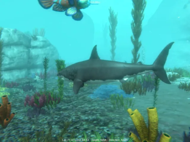Alpha Shark