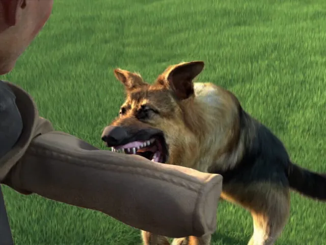Animal Trainer