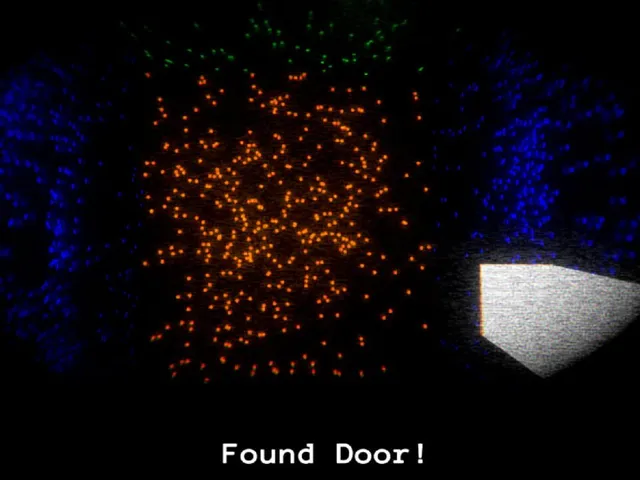 Anomaly
