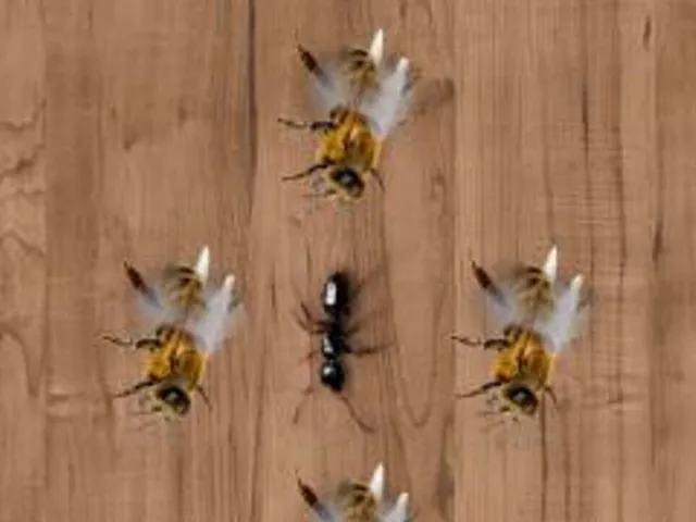 Ant Smasher