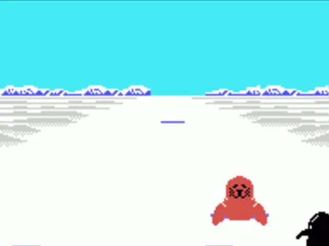 Antarctic Adventure